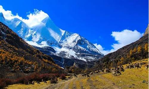 稻城亚丁旅游攻略 景点_稻城亚丁旅游攻略