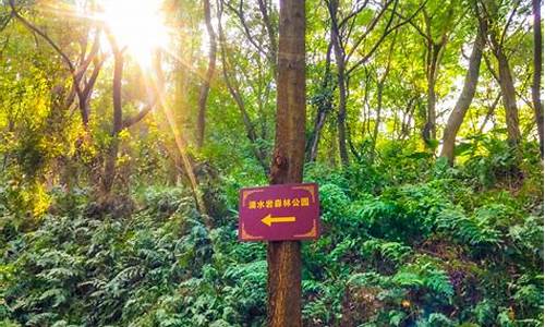 滴水岩森林公园和大夫山森林公园,我和家人