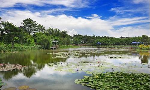 广州南沙湿地公园酒店有哪些,广州南沙湿地