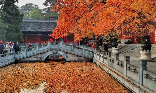 北京香山公园一日游_北京香山公园一日游多