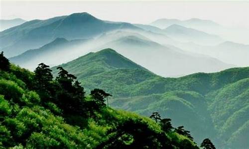 天目山旅游攻略三日游推荐_天目山旅游攻略三日游推荐理由