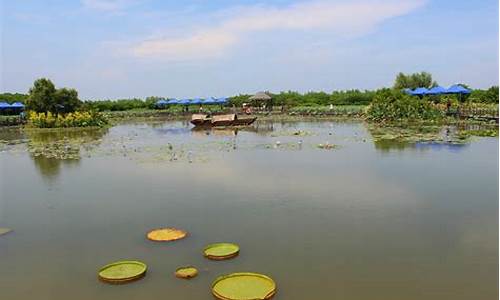 南沙湿地公园好玩吗多少钱,南沙湿地公园好