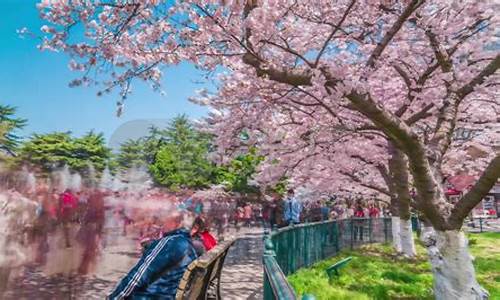 青岛中山公园24小时天气预报_七天青岛中山公园店