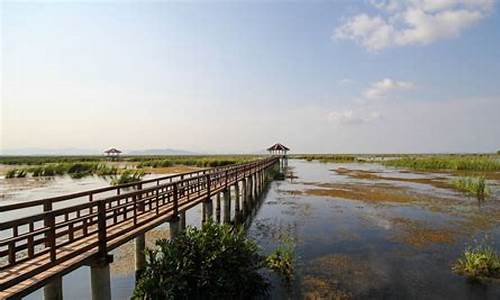 上海崇明岛自驾游必去的景点_自驾崇明岛旅游攻略景点必去