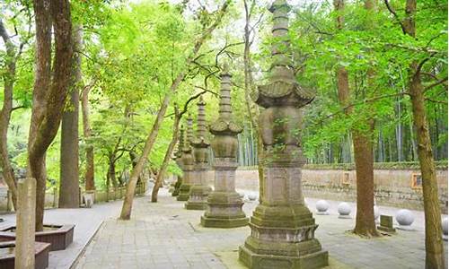 天童森林公园逃票路线_天童山景区门票