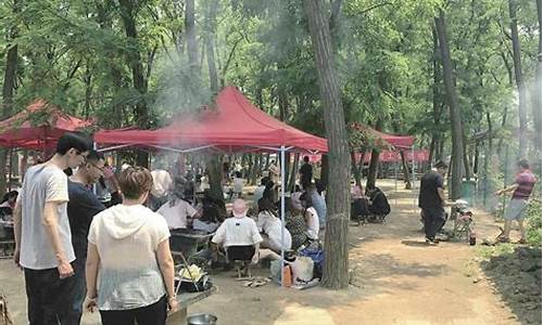 森林公园bbq,森林公园烧烤区靠近哪个门