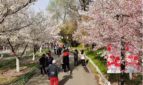 玉渊潭公园樱花节年票能用,玉渊潭樱花节门票多少钱