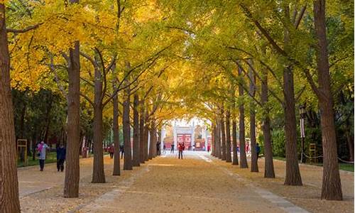 北京地坛公园车展_北京地坛公园车展时间表