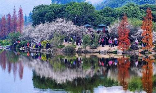 春季旅游景点大全_春季旅游圣地