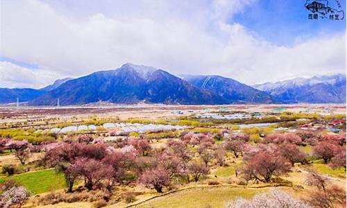 林芝旅游攻略三日游_林芝旅游攻略3至4天住宿多少钱啊