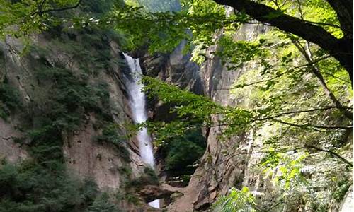 太平森林公园门票,太平森林公园门票团购