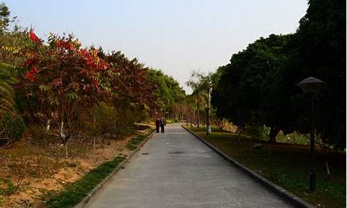 龙头山森林公园生态红线,龙头山森林公园爬山路线