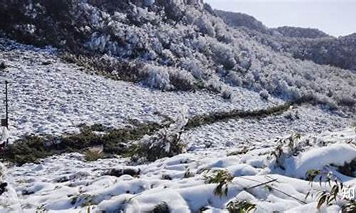 重庆到金佛山开车要几个小时,重庆到金佛山路线怎么走的最好