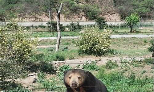 北京八达岭野生动物园攻略_北京八达岭野生动物园攻略 游览路线