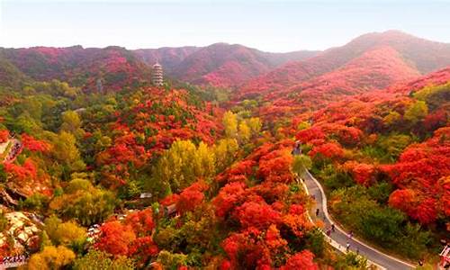 山东红叶景区_山东旅游景点红叶谷