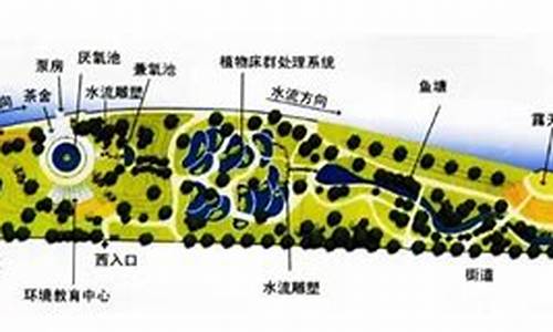 活水公园的水净化系统,活水公园的水净化系统原理图