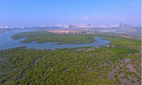 红树林公园管理处地址_红树林公园管理处