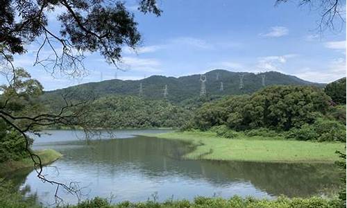 厦门天竺山森林公园门票免费吗_厦门天竺山森林公园缆车