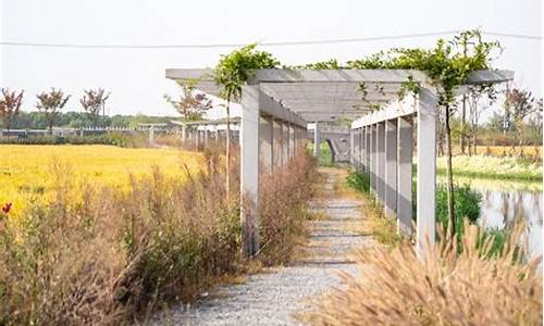 嘉北郊野公园攻略一日游路线_嘉北郊野公园攻略一日游