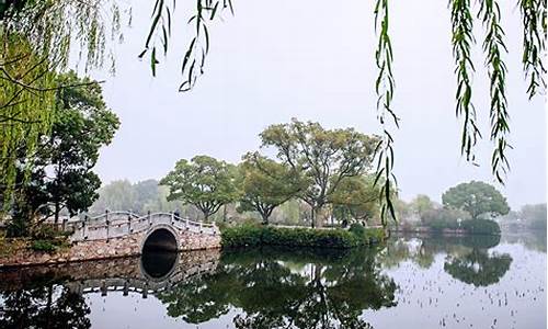 蠡湖公园杜鹃花图片,蠡湖公园杜鹃花