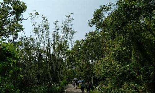 石花山公园山顶路线图_石花山公园山顶路线