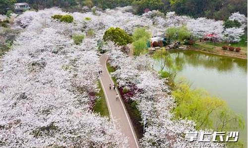 长沙玉湖公园,长沙玉湖公园的准确地址位置在哪