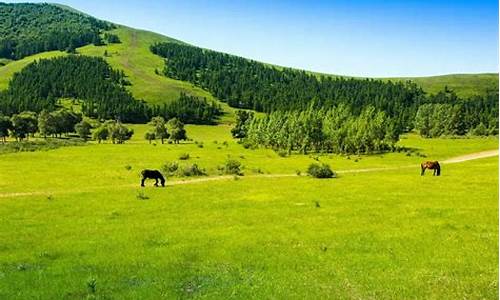 承德木兰围场旅游攻略自驾游_承德旅游木兰围场好玩嘛