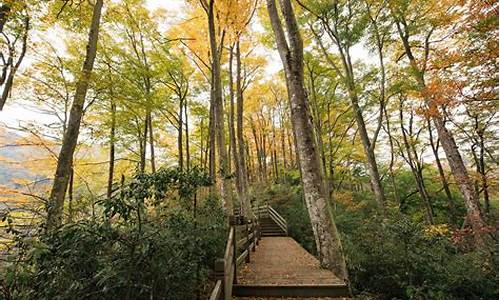 光雾山旅游攻略自驾游两天_光雾山游览攻略