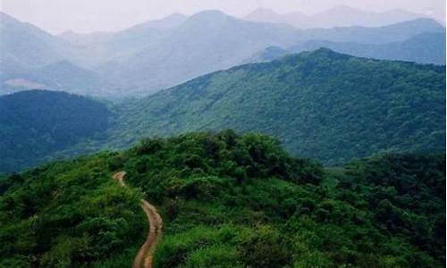 老山界风景,老山界原始森林公园