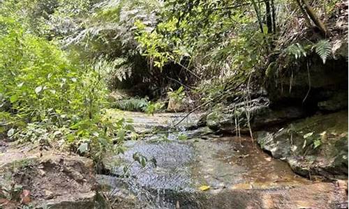 玉峰山森林公园步道_玉峰山公园要门票吗