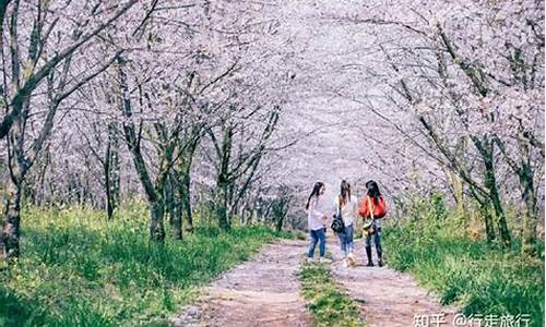 春季旅游攻略_春季旅游最佳去处