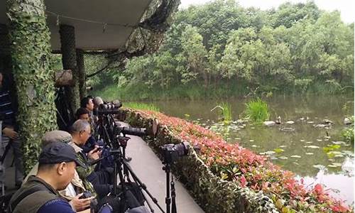 什么奶粉适合消化不良的宝宝,新江湾城湿地公园拍鸟什么时间