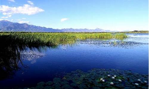 延庆野鸭湖湿地公园门票预约_延庆野鸭湖湿地公园攻略