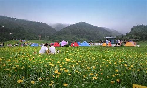 仙女山旅游景点门票,仙女山旅游景点门票价格