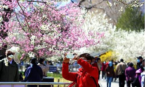 清明节北京旅游攻略三天_清明节北京旅游攻略