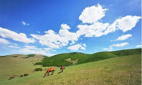 丰宁坝上草原旅游攻略自驾,丰宁坝上草原旅游攻略自驾游