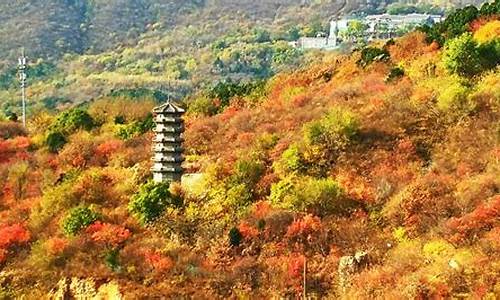 绵阳西山公园景点介绍,西山公园景点介绍