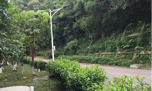 深圳 平峦山,宝安平峦山公园附近住宿