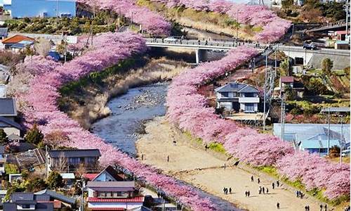 日本赏樱旅游路线-日本赏樱最佳地点