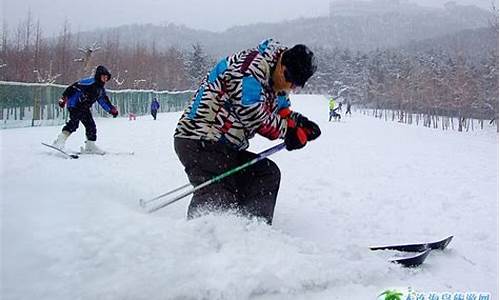 旅游滑雪大连劳动公园-旅游滑雪大连劳动公园多少钱