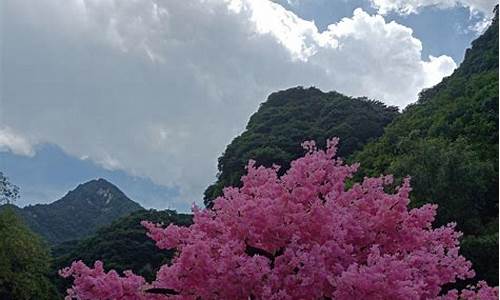 太平森林公园游记-太平森林公园2日游