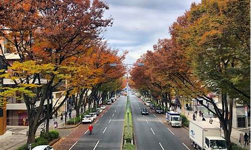 东京旅游攻略马蜂窝-东京旅游攻略一日游