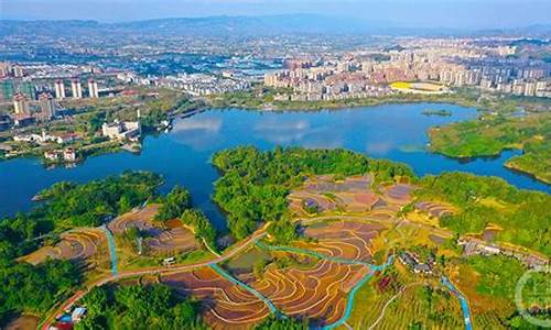 重庆湿地公园在哪里-重庆的湿地