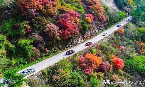 翠华山游玩攻略-翠华山旅游攻略一日游