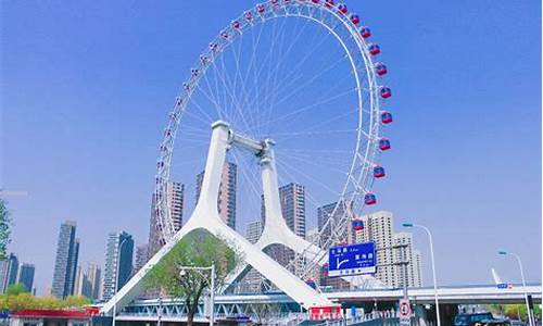 天津看海鸥的景点-天津旅游攻略带孩子喂海鸥