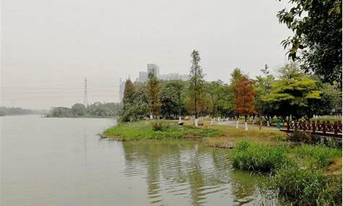广州蕉门公园在哪里,蕉门公园和凤凰哪个好