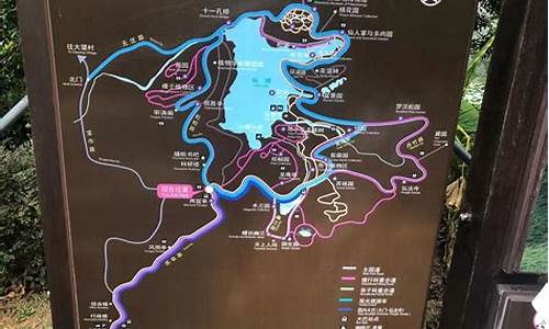 仙湖植物园旅游攻略_仙湖植物园攻略一日游2023年